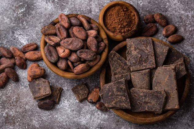 Séjour découverte du café et du cacao en français en 2 jours