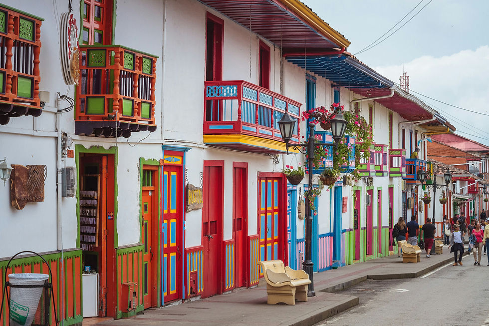 Que faire à Salento et dans la vallée de Cocora ?