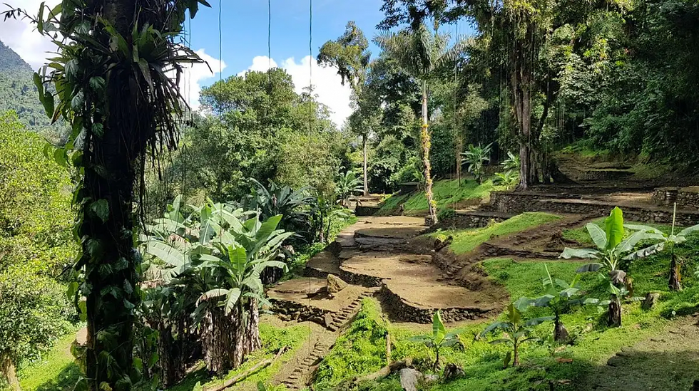 excursion cité perdue colombie guide francophone