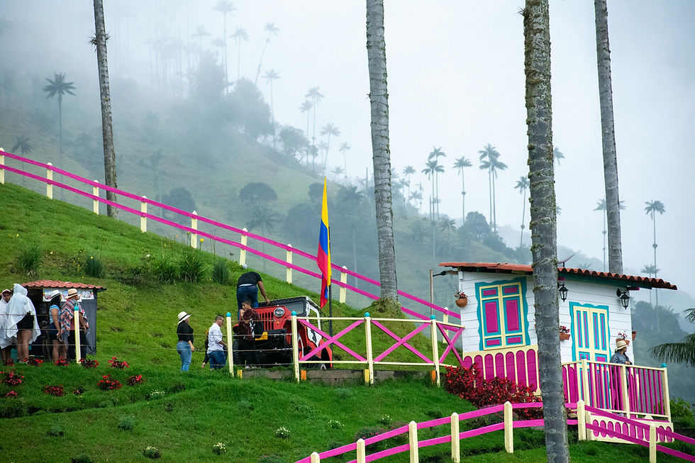 Que faire à Salento et dans la vallée de Cocora ?