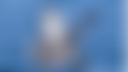 Que faire à Uvita ? Les meilleures expériences entre jungle et océan