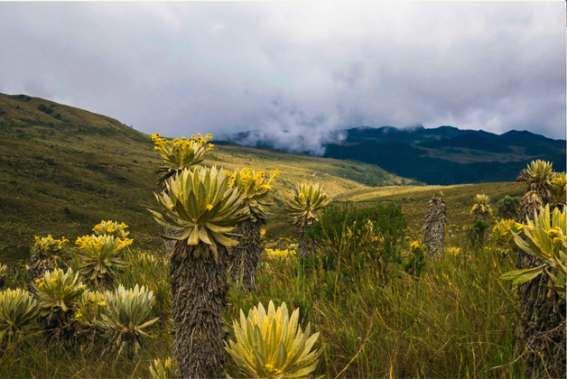 Randonnée guidée en français Paramo de Martus