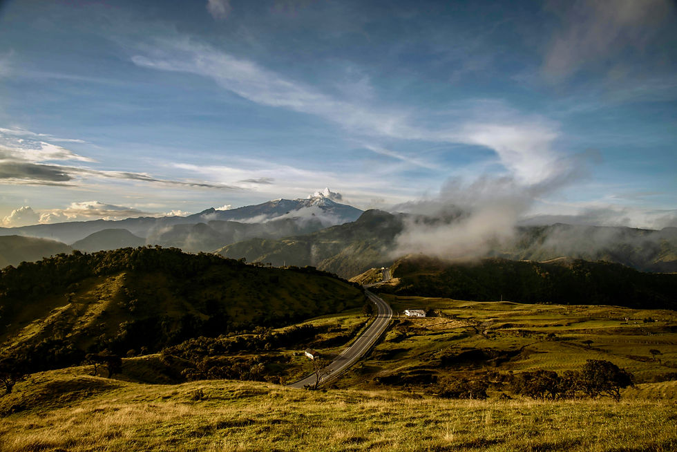 La route du café en Colombie : de la graine à la tasse
