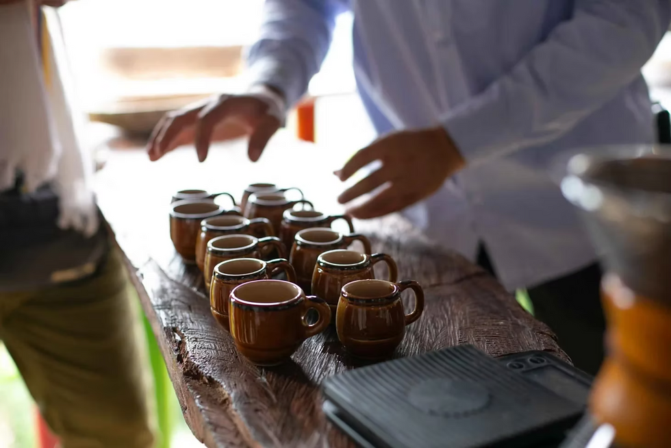 La route du café en Colombie : de la graine à la tasse