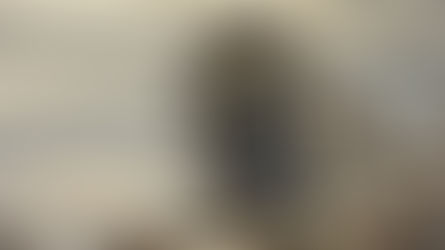 Les plus beaux parcs nationaux du Costa Rica 🇨🇷