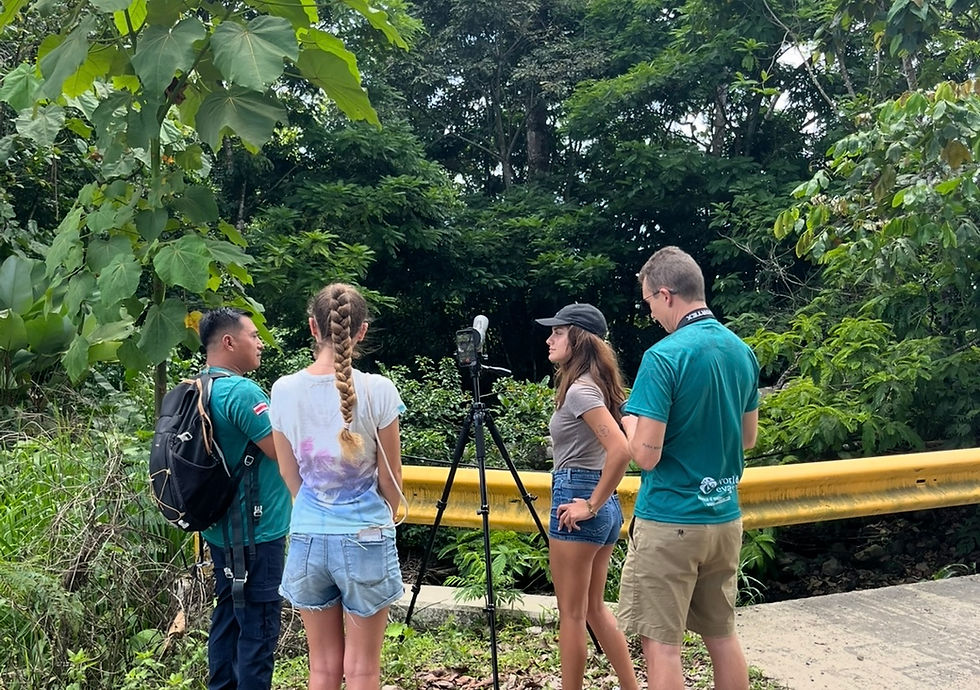 Excursion aux paresseux au Costa Rica : où vivre la meilleure expérience ?