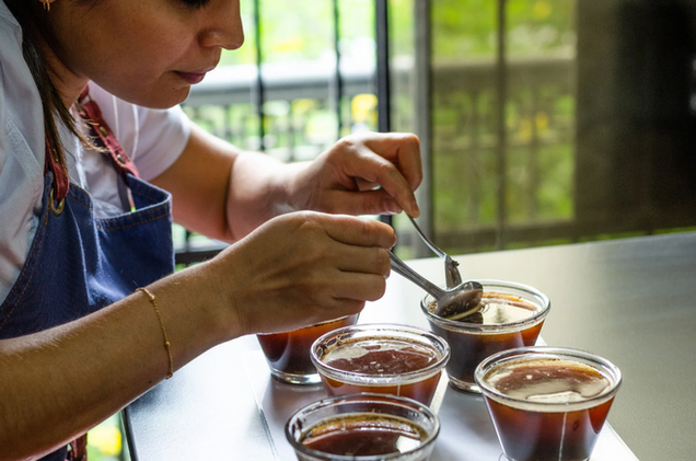 Excursion découverte du café et du cacao 2 jours avec guide local francophone