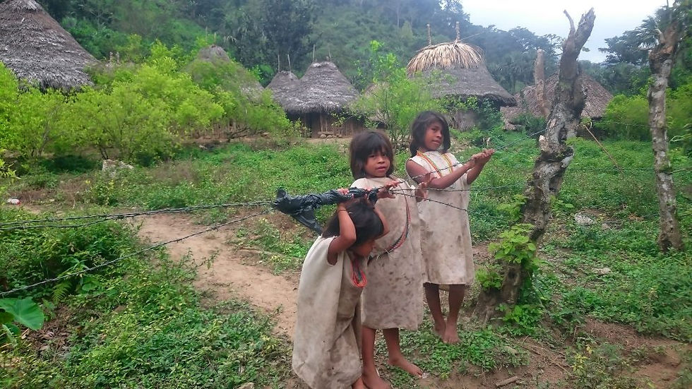 communauté indigène cité perdue colombie