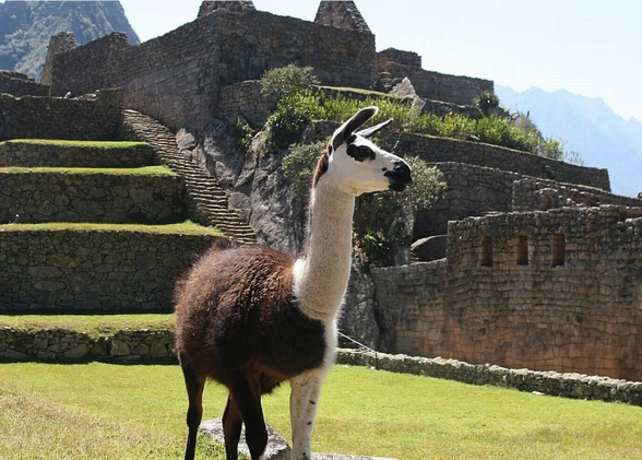 Excursion de 3 jours à Perolniyoc et Inti Punku en français
