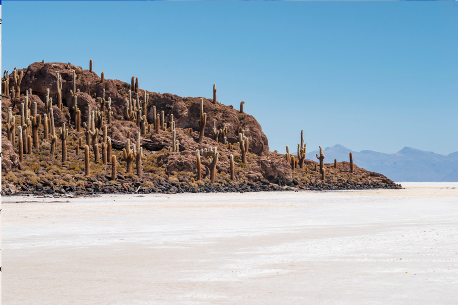 Excursion Uyuni, Sud & Nord Lipez et Lagune Hedionda avec guide local francophone