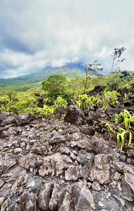 excursion en français à la fortuna