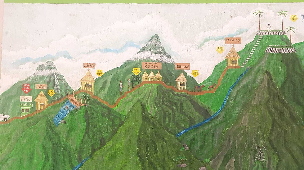 Le trek vers la Cité Perdue colombie