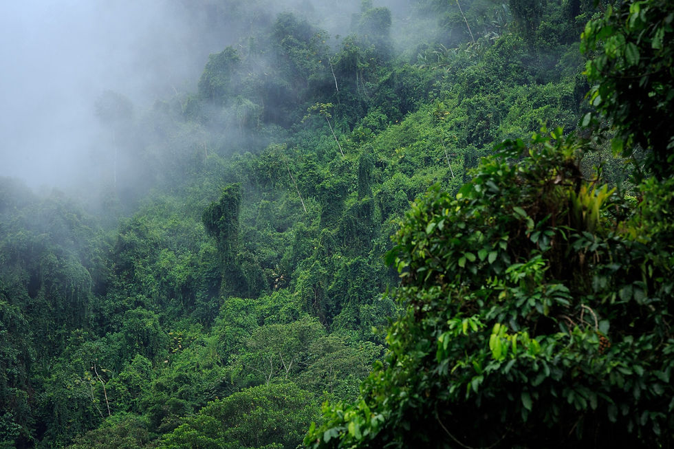 comment se rendre dans la cité perdue en colombie
