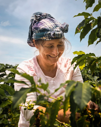 Séjour découverte du café et du cacao en français en 2 jours