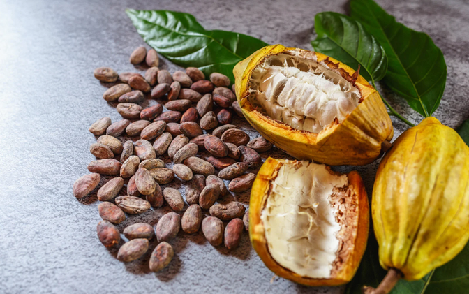 Excursion découverte du café et du cacao 2 jours avec guide local francophone