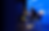 spornet-fondo-charlas.png