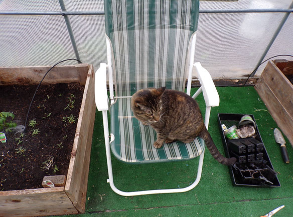 2025-5-18PlantingsDone (9).JPG