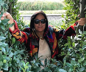 Screen Shot 2025-07-20 at 6.22.01 pm.jpg