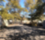 ree