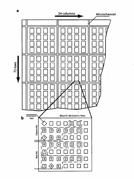 Screenshot 2025-04-10 at 8.46.41 PM