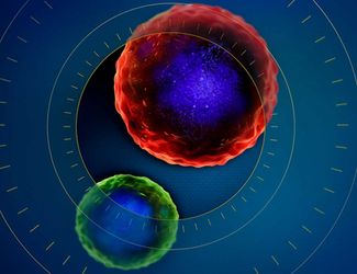 Screenshot 2025-02-05 at 7.11.53 AM.png