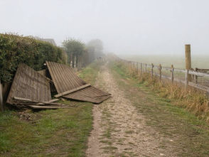 Collapsed wooden fence showing storm damage after winter weather