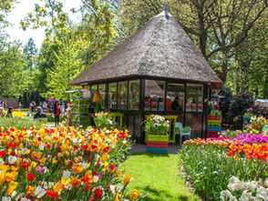 5 Garden Trends Everyone Will Want After Chelsea 2026