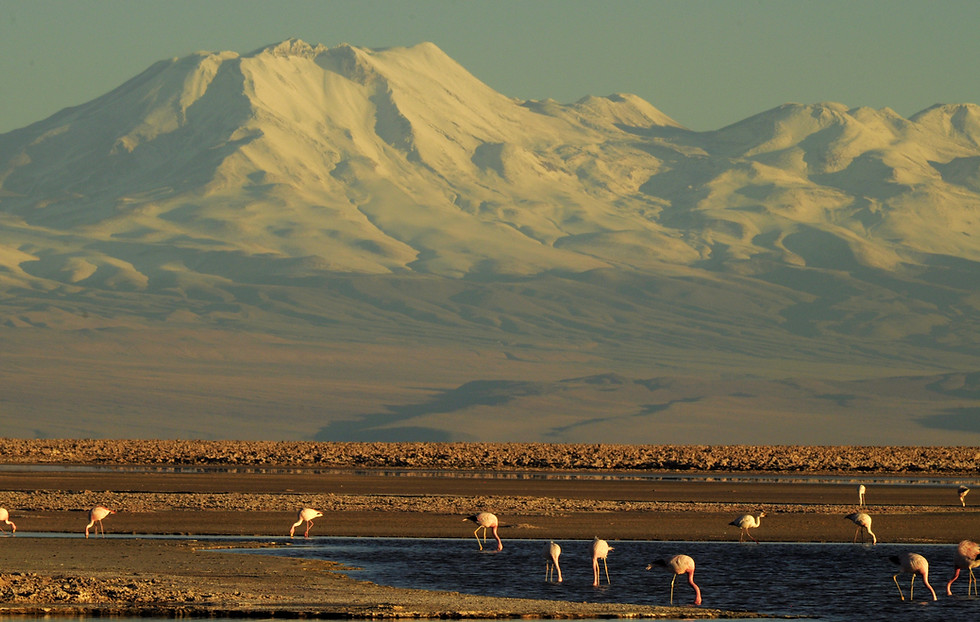 _DSC0257_edited.jpg