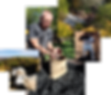 CollageEdit(125%).png