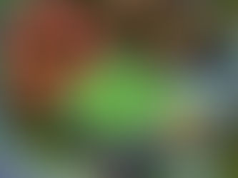 SVS Wars – Detecting Enemy Keeps on Home Server