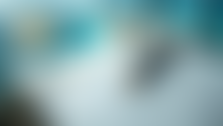 Certeza Jurídica en el Caribe Mexicano: Más que un Trámite, un Blindaje para su Futuro