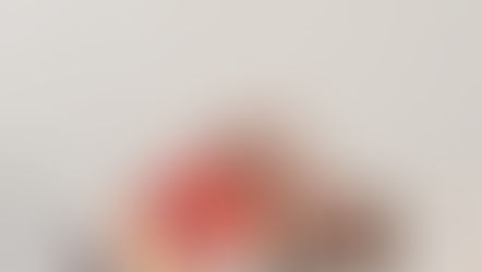 Diário de um Fescenino - Rubem Fonseca