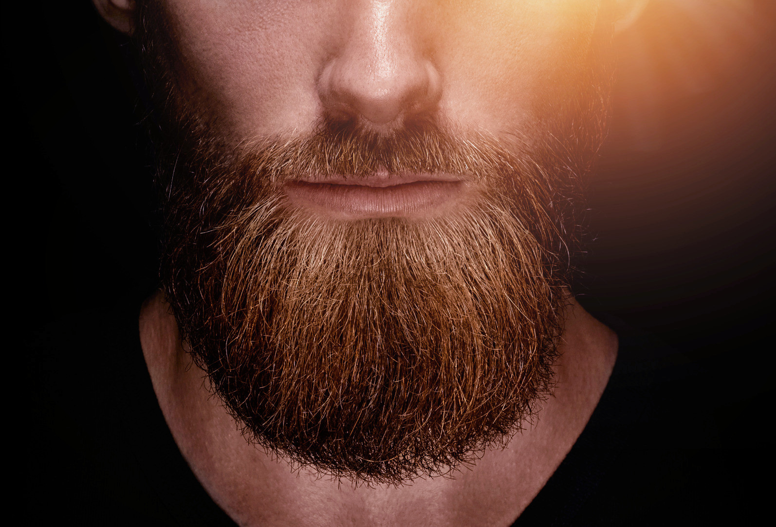 Beard Balm