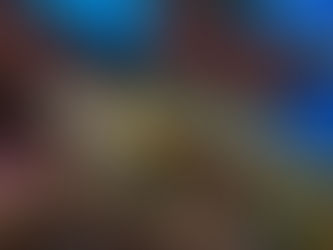 Intuition, Instinct & Sea Turtles