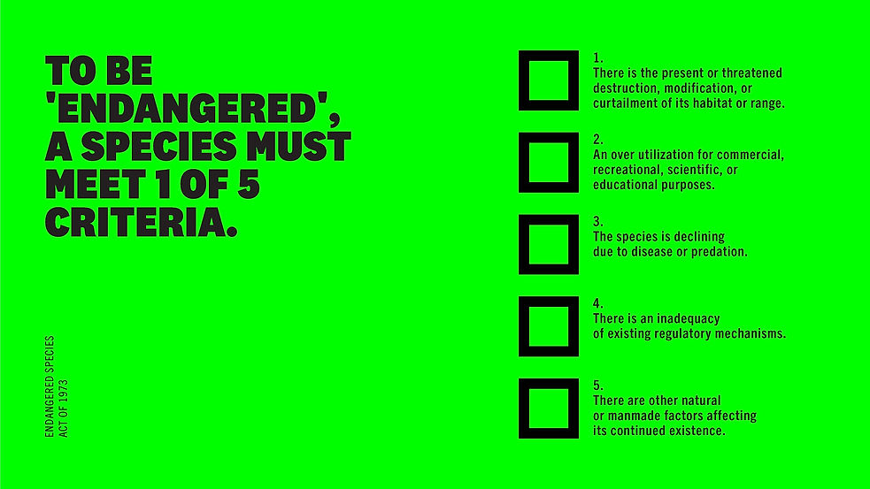 Endangered_Species_NEW_STRUCTURE_3_Page_03.jpg