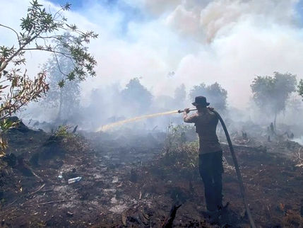 Karhutla di Pulang Pisau Masuk Tahap Pendinginan, Bara Gambut Masih Jadi Ancaman