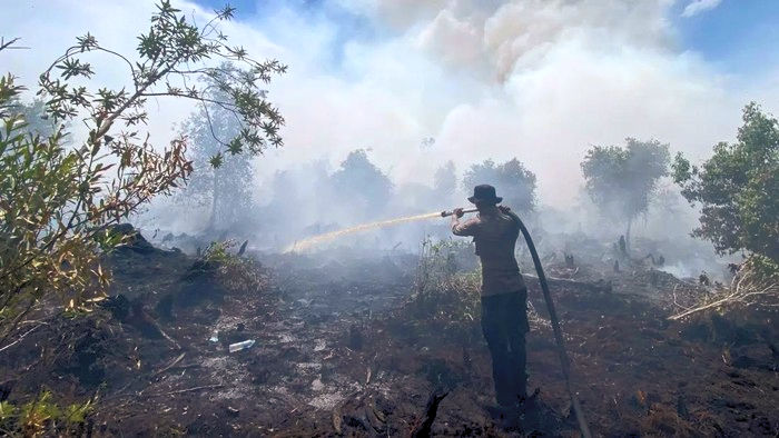 Karhutla di Pulang Pisau Masuk Tahap Pendinginan, Bara Gambut Masih Jadi Ancaman