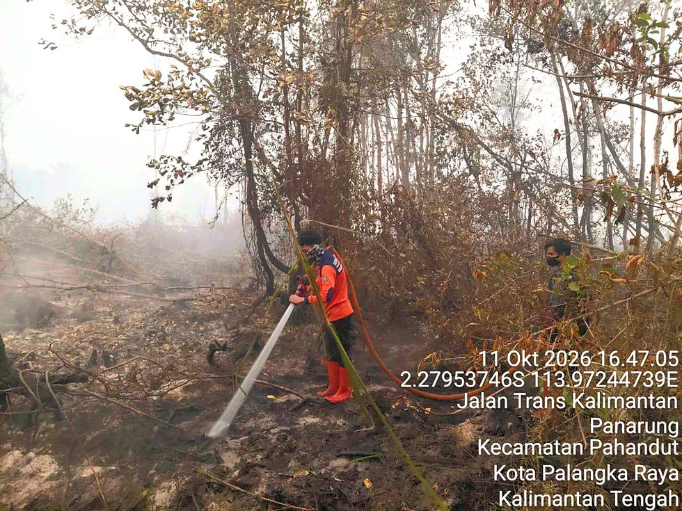 Petugas gabungan melakukan pemadaman kebakaran hutan dan lahan di wilayah Kalimantan Tengah. (Foto: PPID BPB-PK Provinsi Kalteng).