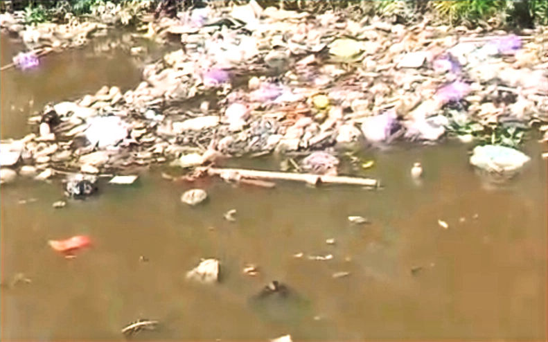 Sampah Penuhi Sungai Anjir Pulau Telo, DLHK Kapuas Soroti Kesadaran Warga