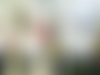 Pemprov Kalteng dan BBPOM Serahkan Sertifikat Pelaku Usaha Obat Bahan Alam