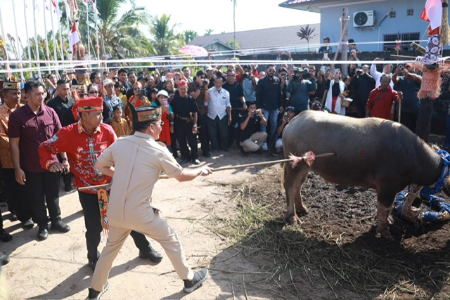 Gubernur Kalimantan Tengah Agustiar Sabran menghadiri puncak Upacara Ritual Keagamaan Tiwah Keluarga Besar Upun Gawi di Jalan G. Obos VIII, Kota Palangka Raya, Jumat (10/7/2026). Kehadiran pemerintah menjadi bentuk dukungan terhadap pelestarian budaya dan tradisi masyarakat Dayak di Kalimantan Tengah. (Foto: MMC Kalteng)