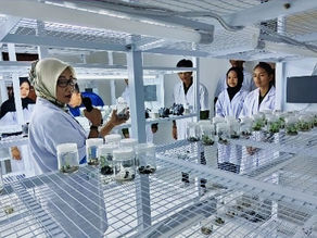 Mahasiswa UMPR Pelajari Pemuliaan Tanaman di UPT Dinas TPHP Kalteng
