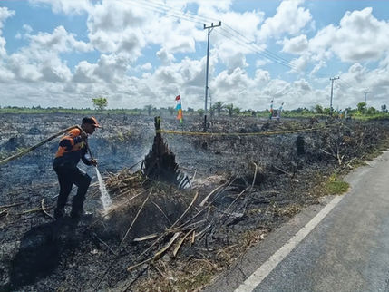 Diduga Sengaja Dibakar, BPBD Kotim Selidiki Karhutla di Lahan Calon Perumahan