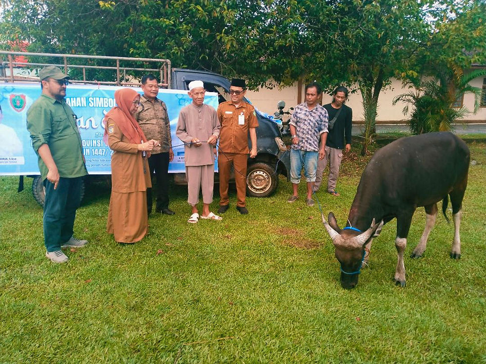 Pemprov Kalteng Salurkan Bantuan Sapi Kurban untuk Masjid Al-Falah Sampit