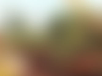 Pemkab Kotim Siapkan 12 Titik Embung Darurat untuk Perkuat Penanganan Karhutla