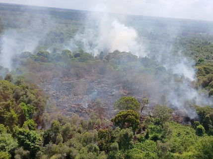 BPBD Kotim Ajukan Bantuan Helikopter Water Bombing, Karhutla Mulai Sulit Dikendalikan