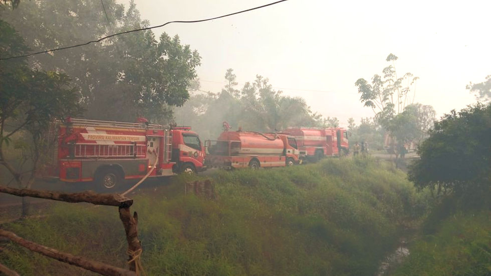 Karhutla Meluas ke Petuk Katimpun, Api Mendekati Permukiman Warga