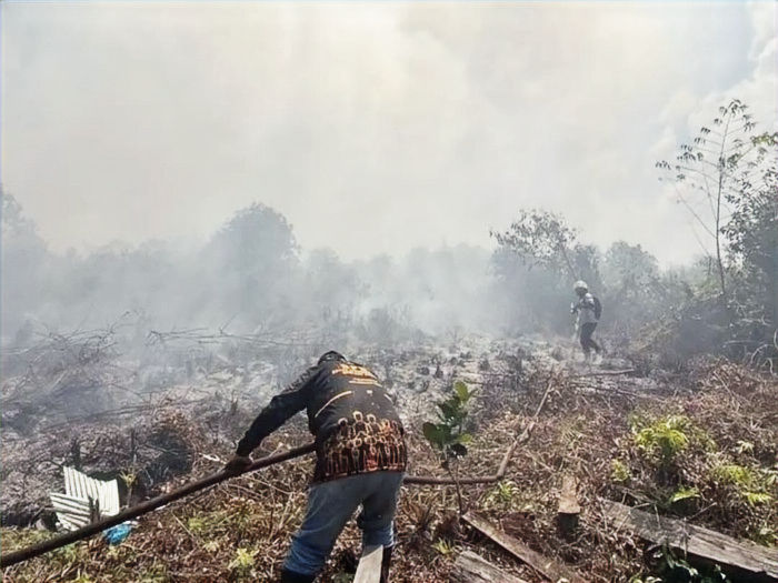 BPBD Kotim Catat 372 Hotspot dan 151,7 Hektare Lahan Terbakar Selama Musim Kemarau