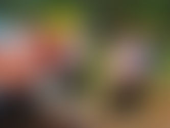 Pembangunan Posko GDAN di Puntun Jadi Simbol Penguatan Perang Melawan Narkoba