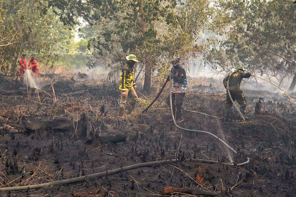 Personel Satgas Karhutla Kota Palangka Raya melakukan pemadaman kebakaran lahan di Kelurahan Kameloh Baru dengan strategi pengepungan dari berbagai arah, dibantu helikopter water bombing, Rabu (29/7/2026). (Foto: MC Kota Palangka Raya)